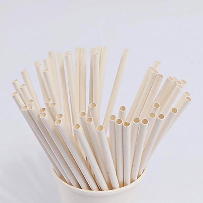 Ống hút giấy 1 ong hut giay